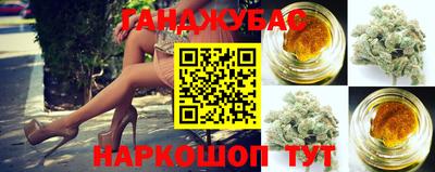 прущие грибы Будённовск