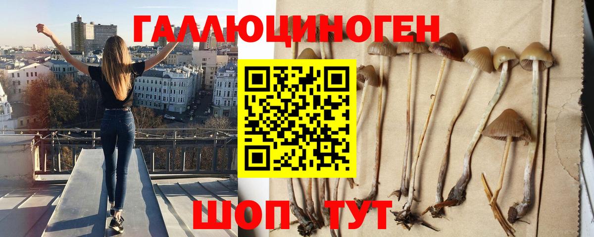 Псилоцибиновые грибы мухоморы  Псилоцибиновые грибы мицелий  Вход с VPN  Полысаево 